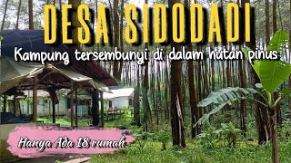 HANYA ADA 18 RUMAH‼️ DESA TERSEMBUNYI DI DALAM HUTAN PINUS