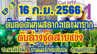 เลvดัUสายแข็vอ.ม่อนชิโร่ อ.หนุ่มเชียงใหม่ อ.นาคิโณ อ.ญาธิป แอดนัน อ.เวียงพิงค์ บ้านนี้มีรัก16/9/66