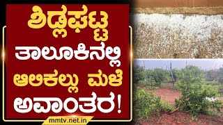 ಶಿಡ್ಲಘಟ್ಟ ತಾಲೂಕಿನಲ್ಲಿ ಆಲಿಕಲ್ಲು ಮಳೆ ಅವಾಂತರ ! | ಶಿಡ್ಲಘಟ್ಟ | MM TV-News 21-05-2023