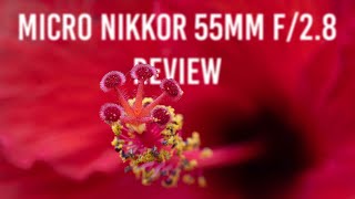 Nikon 55mm f/2.8Micro Nikkor Review (so much fun)