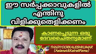 ഈ സർപ്പക്കാവുകളിൽ എന്തിനുവിലക്ക്തെളിക്കണം9446141155Thadiyoorkaleshkumar(Asianet\u0026Kairalifame)