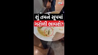 બહાર જમવા ન જતા.. ભોજનમાં જીવડાં મળશે! | Gujarat First