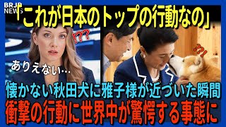 「これが日本のトップの行動か…」雅子様が秋田犬に近づいた次の瞬間！テレビでは報道されなかった衝撃の真実に世界中が絶句する事態に…【海外の反応】