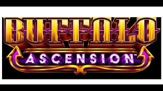 Buffalo Ascension Slot Machine