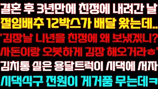 [반전 신청사연] 결혼 후 처음 친정에 내려간 날 배추가 배달오는데 친정엄마 보고 김치하라 한 순간 시댁식구 거품무는데/실화사연/사연낭독/라디오드라마/신청사연 라디오/사이다썰