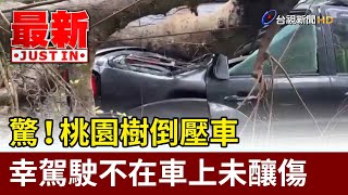 驚！桃園樹倒壓車 幸駕駛不在車上未釀傷【最新快訊】