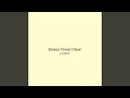 Breeze Dream Neon