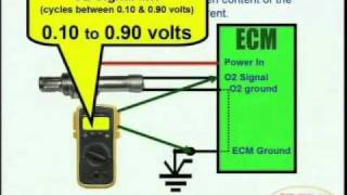 O2 Sensor & Wiring Diagrams