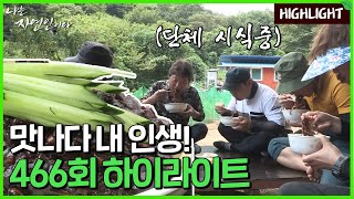 [자연인 하이라이트] 466 잘 나가던 중식집 사장에서 자연이이 된 사연?