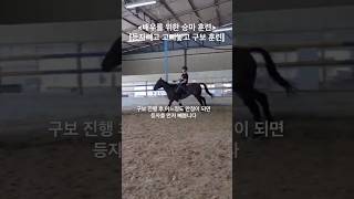 등자 빼고 고삐 놓고 구보하기 |밸런스 기좌힘 키우기 훈련 #승마 #구보 #기좌힘 #등자 #고삐놓기