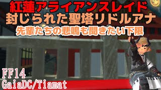 【FF14/FINAL FANTASY XIV】先輩たちの悲鳴も聞きたい下限リドルアナ！初見未予習Bタンク【GaiaDC/Tiamat】