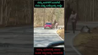 ನಮ್ಮ ಜನಗಳಿಗೆ ಯಾವಾಗ ಬುದ್ದಿಬರುತ್ತೆ ಗುರು|elephant attack on tourist #subscribe #viral #trendingreels