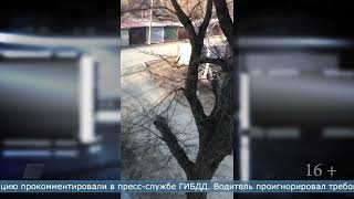 06.04.2022 Экипаж ДПС на своих двоих остановил нарушителя