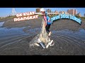 Thousands Of Mullet fish In Here-Amazing Fishing nets Mullet On The Estuary