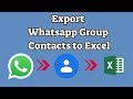 how to extract whatsapp group contacts to excel