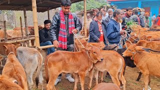 আজ ৩০ ডিসেম্বর 2024\