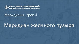 Меридиан желчного пузыря. Дистанционный курс рефлексотерапии. Академия акупунктуры Акумед.