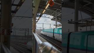 東北新幹線 はやぶさ H５系 八戸駅入線2　#shorts #vktrain  Japan train bullet train बुलेट ट्रेन