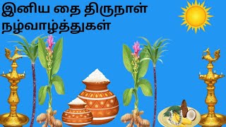 happy pongal