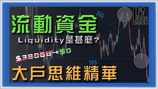 ░大戶思維精華｜流動性 Liquidity 是甚麼░｜收費課程也未必教的大戶思維｜莊家操盤理論｜為甚麼90%散戶虧損｜深造市場結構｜價格行為動機 ｜#投資 #美股 #外匯 #股票 #交易