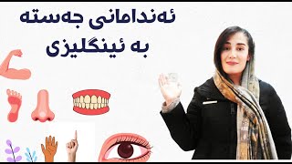 ئەندامانی جەستە به ئینگلیزی/#english_with_somi