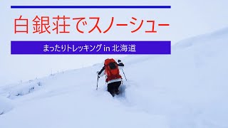 「 白銀荘スノーシュー　2024年12月12日 」まったりトレッキング in 北海道