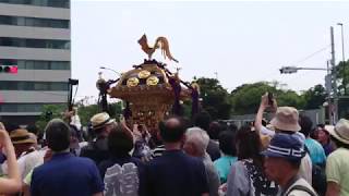 波除稲荷神社 夏越し大祭『つきじ獅子祭』