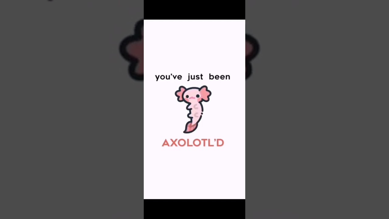 You Ve Just Been Axolotl D Extended Version Youtube