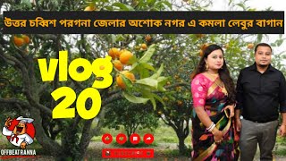 উত্তর ২৪ পরগনার হাবরা অশোকনগরের কমলালেবুর বাগান ভ্রমণ।।Habra Ashoknagar Orange 🍊Garden tour।।vlog 20