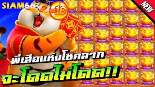 🎰 SIAM66 ➤ สล็อต PG : Fortune Tiger | พี่เสือแห่งโชคลาภ🔥