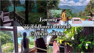 Borong || wild flower retreat || offbeat sikkim || cottage room || ravangla || south sikkim ||