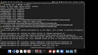 Python in the Cloud with Docker