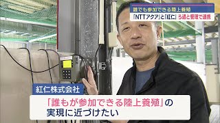 廃校を利用した陸上養殖　ＮＴＴの子会社が参画／ビジネスキャッチー