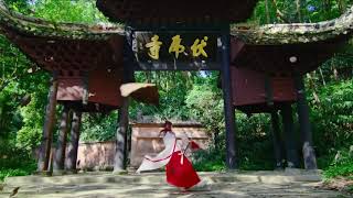 Sichuan Tourism Official Channel