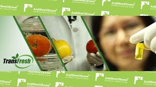 AndNowUKnow - Transfresh - Behind the Greens