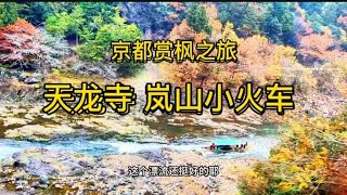 京都赏枫～岚山之旅。游览世界文化遗产天龙寺，体验岚山小火车