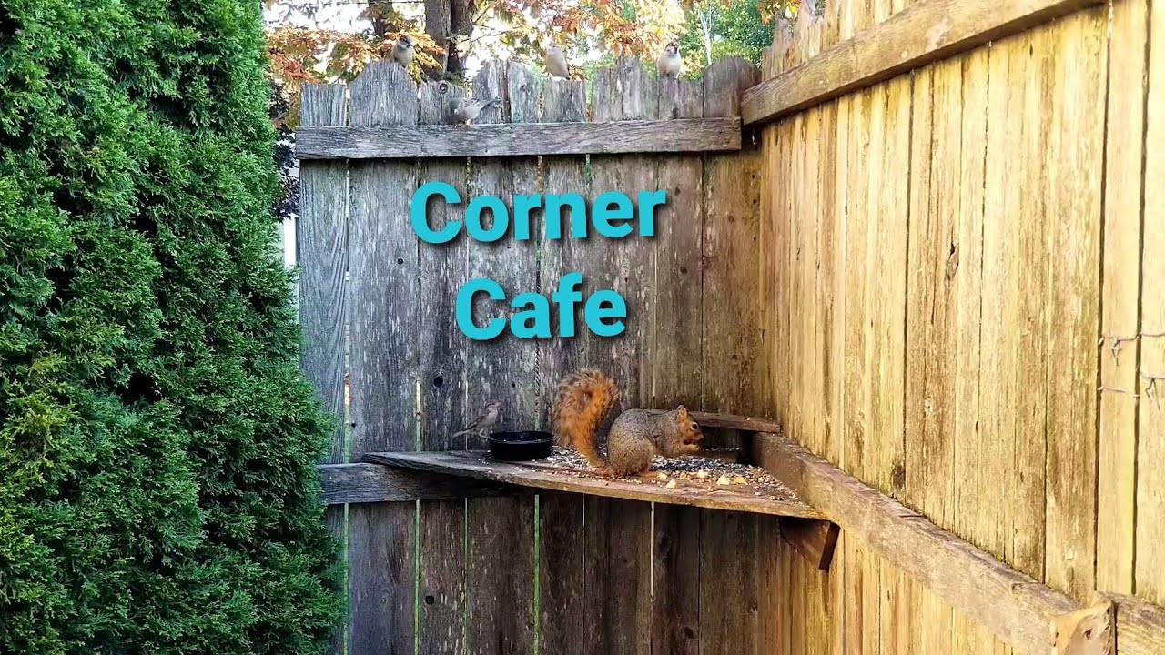 Corner Cafe Breakfast Youtube
