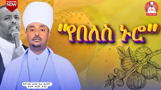 🛑የታህሳስ 13 የእሑድ ቅዳሴ ወንጌል ትምህርት🛑 ዕለቱ ስብከት ይባላል 🛑//በአፈ በረከት ቀለመወርቅ ታደሰ 🛑