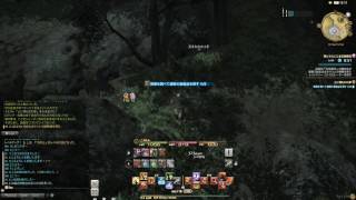 【FF14】サブクエスト：黒衣森：土に埋もれた夢 #249