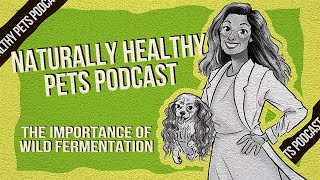 The Importance of Wild Fermentation | NHP Podcast Ep 48 | Dr. Judy Morgan \u0026 Billy Hoekman