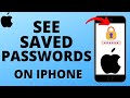 How to See Saved Passwords on iPhone