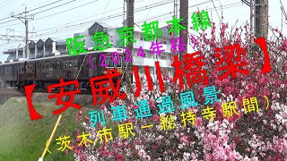 阪急京都本線（2024年桜）【安威川橋梁 列車通過風景（茨木市駅－総持寺駅間）】