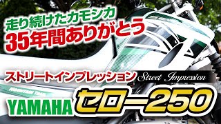 【インプレ】YAMAHAセロー250 | 35年間ありがとう!!【Motovlog】