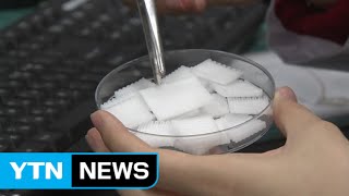 '3D 바이오 프린팅' 기술...맞춤형 인공 장기 만든다 / YTN