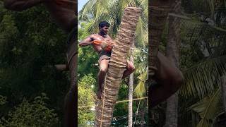 Tree cutting channel # Aravind Kanyakumari