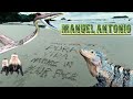 Spiny Iguanas, monkeys and Vine snakes! Bienvenido a Manuel Antonio ￼