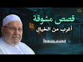 قصص مشوقة أغرب من الخيال تمنيت ألا تنتهي قصص قبل النوم روووعه الشيخ محمد راتب النابلسي