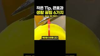 주방의 달인이 알려주는 초간단 생활 꿀팁 6가지!