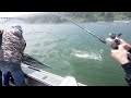 watch this before buying a salmon or steelhead rod