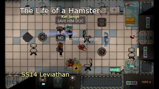 SS14 - Traumatized Hamster
